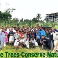 TREE  PLANTATION  PROJECT